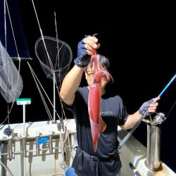 オーシャンズ　京都 釣果