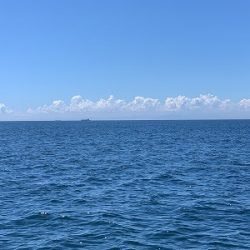 フィシングボートAir(エアー) 釣果