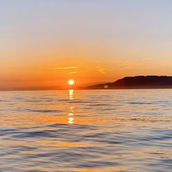 フィシングボートAir(エアー) 釣果