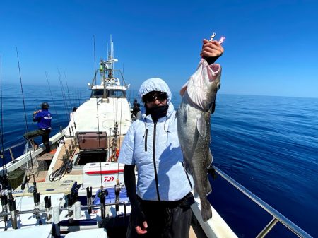 オーシャンズ　京都 釣果