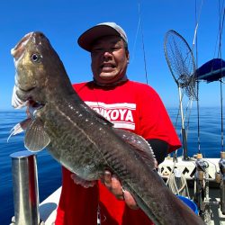 オーシャンズ　京都 釣果