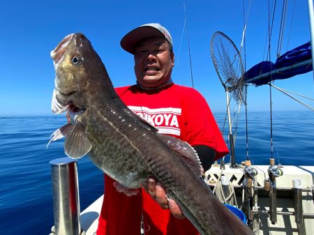 オーシャンズ　京都 釣果