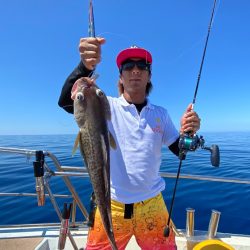 オーシャンズ　京都 釣果