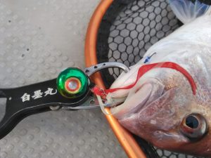 白墨丸 釣果