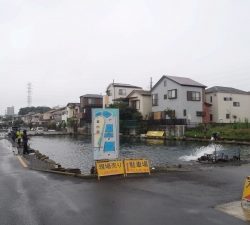 朝霞ガーデン 釣果