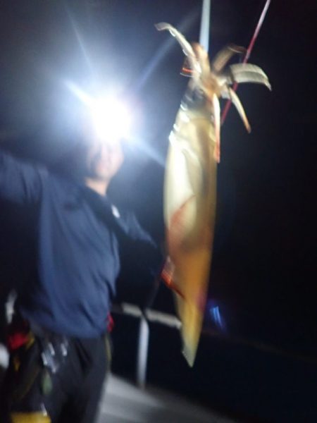 Aquanaut(アクアノート) 釣果