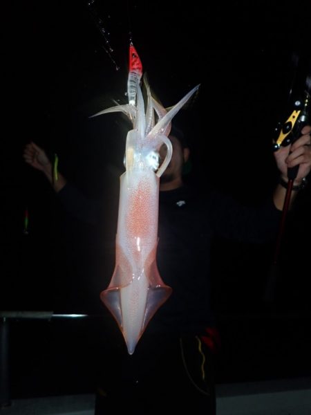 Aquanaut(アクアノート) 釣果