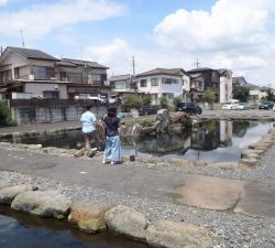 朝霞ガーデン 釣果