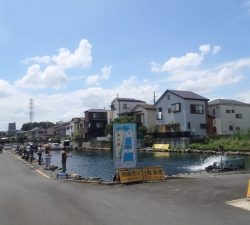 朝霞ガーデン 釣果