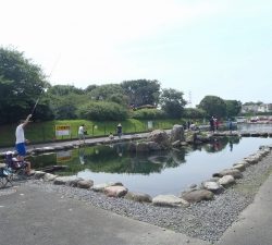 朝霞ガーデン 釣果