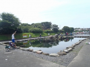 朝霞ガーデン 釣果