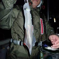 Aquanaut（アクアノート） 釣果