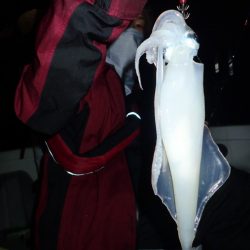 Aquanaut（アクアノート） 釣果