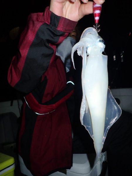 Aquanaut（アクアノート） 釣果