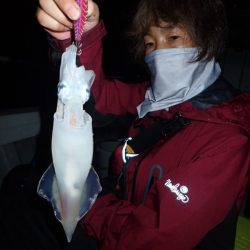 Aquanaut（アクアノート） 釣果