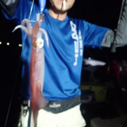 Aquanaut（アクアノート） 釣果