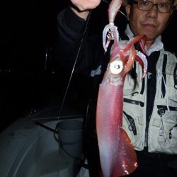 Aquanaut（アクアノート） 釣果