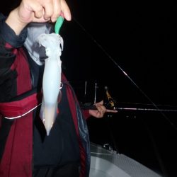 Aquanaut（アクアノート） 釣果