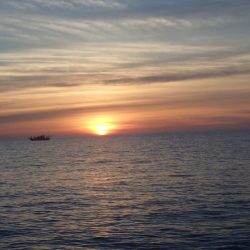 Aquanaut（アクアノート） 釣果