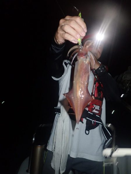 Aquanaut(アクアノート) 釣果