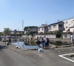 朝霞ガーデン 釣果