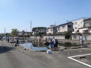 朝霞ガーデン 釣果