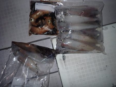 Aquanaut(アクアノート) 釣果