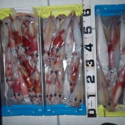 Aquanaut(アクアノート) 釣果