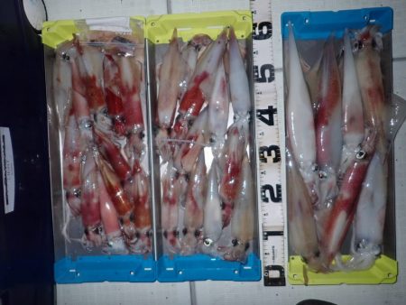 Aquanaut(アクアノート) 釣果