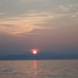 Aquanaut（アクアノート） 釣果