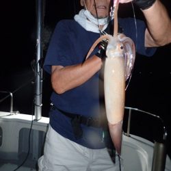 Aquanaut（アクアノート） 釣果