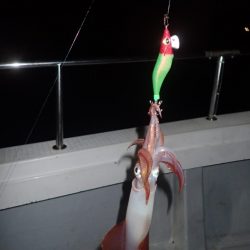 Aquanaut(アクアノート) 釣果