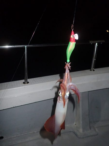 Aquanaut(アクアノート) 釣果