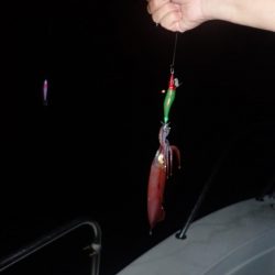 Aquanaut(アクアノート) 釣果