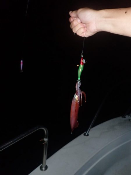 Aquanaut(アクアノート) 釣果