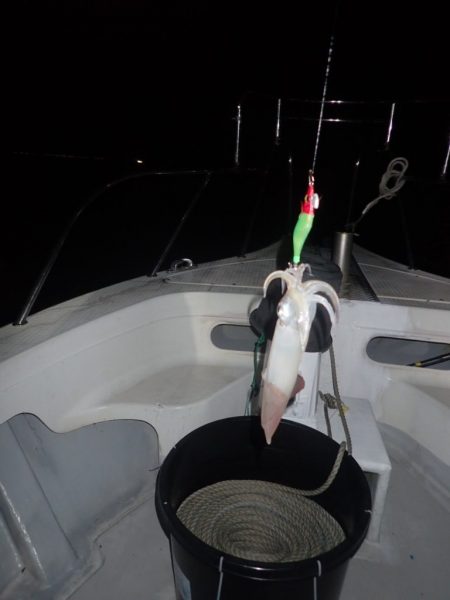 Aquanaut(アクアノート) 釣果