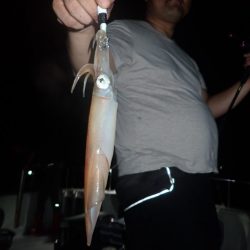 Aquanaut(アクアノート) 釣果