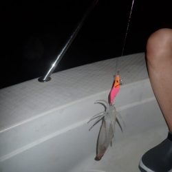 Aquanaut(アクアノート) 釣果