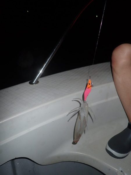 Aquanaut(アクアノート) 釣果