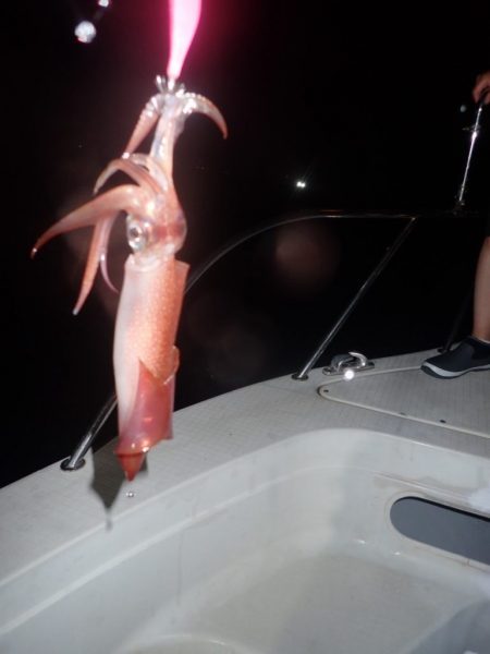 Aquanaut(アクアノート) 釣果