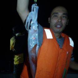 Aquanaut(アクアノート) 釣果