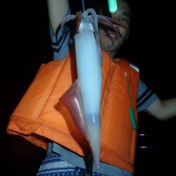 Aquanaut(アクアノート) 釣果