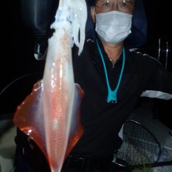 Aquanaut(アクアノート) 釣果