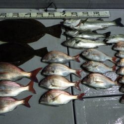 磯部釣船 直栄丸 釣果