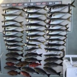 さぶろう丸 釣果