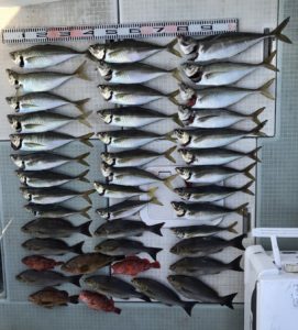 さぶろう丸 釣果