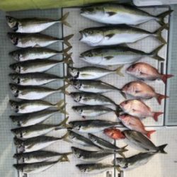 さぶろう丸 釣果