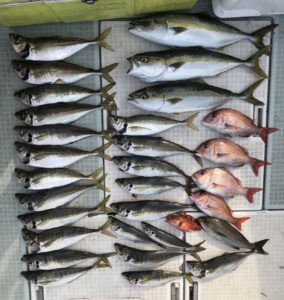 さぶろう丸 釣果
