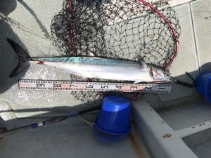 さぶろう丸 釣果