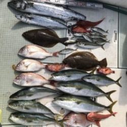 さぶろう丸 釣果